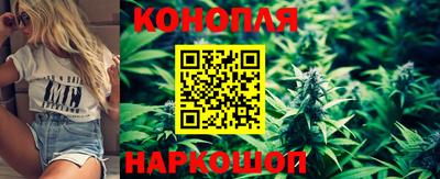 Альфа ПВП Малоярославец