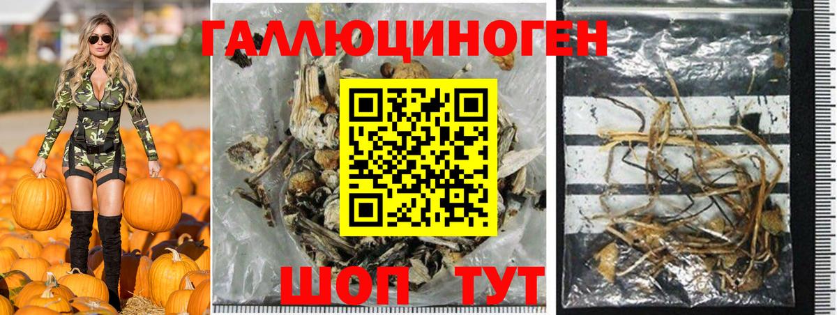 Галлюциногенные грибы Psilocybe  Вход с VPN  закладки  Карталы 